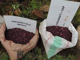 fertilizer for coffee cultivition